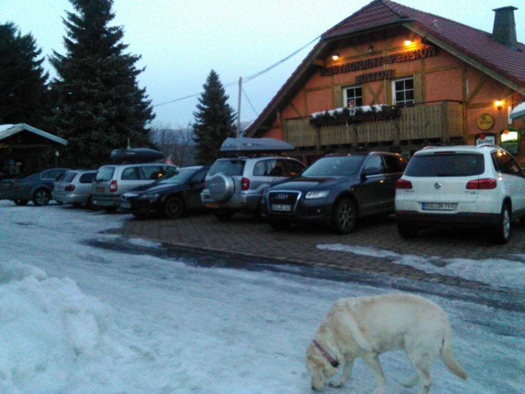 Restaurant Pension-Anton Jachymov Bagian luar foto